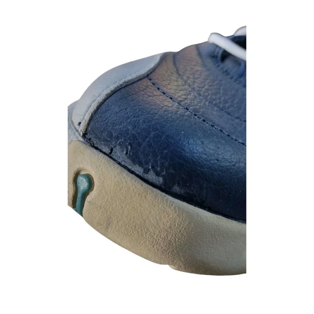Air Jordan 12 Retro 